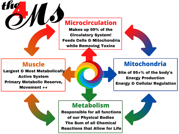 The 4Ms